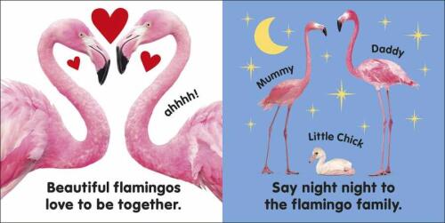 Baby Touch And Feel Flamingo - Kolektif - Dorling Kindersley Publishers LTD - Çocuk Kitapları - 4