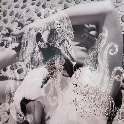 Bjork - Vespertine -Plak - 1