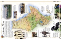 Children's Illustrated World Atlas - Kolektif - Dorling Kindersley Publishers LTD - 4