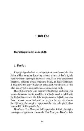 Çi: 2. Kitap - Akilah - Azra Kohen - 3