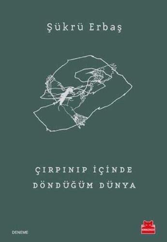 Çırpınıp İçinde Döndüğüm Dünya - Şükrü Erbaş - Kırmızı Kedi Yayınevi - 1