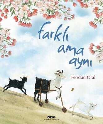 Farklı Ama Aynı - Feridun Oral - 1