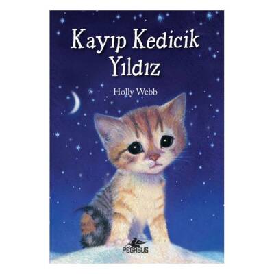 Kayıp Kedicik Yıldız - Holly Webb - 1