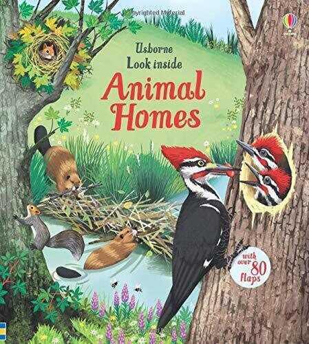 Look Inside Animal Homes - Kolektif - Usborne - 1