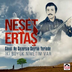 Neşet Ertaş - Gönül Ne Gezersin Seyran Yerinde / İki Büyük Nimetim Var - 1