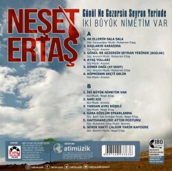 Neşet Ertaş - Gönül Ne Gezersin Seyran Yerinde / İki Büyük Nimetim Var - 2