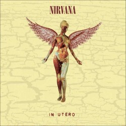 Nirvana – In Utero Plak - 2