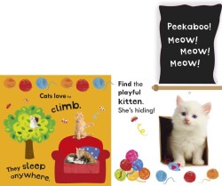 Noisy Pets Peekaboo - Dawn Sirett - Dorling Kindersley Publishers LTD – Çocuk Kitapları - 2