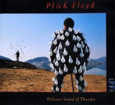 Pink Floyd - Delicate Sound of Thunder: Live - Plak - 1