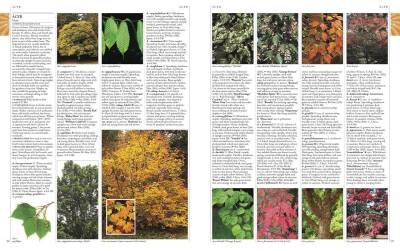 Rhs A-Z Encyclopedia Of Garden Plants 4T - Kolektif - 4