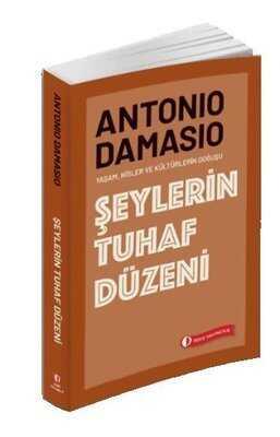 Şeylerin Tuhaf Düzeni - Antonio Damasio - 1