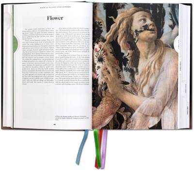 The Book Of Symbols - Collective - Taschen - 5