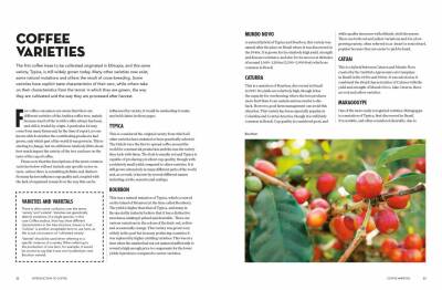 The World Atlas of Coffee: From Beans to Brewing - James Hoffmann - Mitchell Beazley - 3