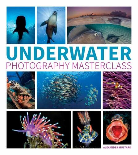 Underwater Photography Masterclass - Alex Mustard - 1