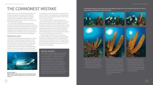 Underwater Photography Masterclass - Alex Mustard - 7