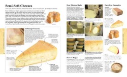 World Cheese Book (Ciltli) The Finest Selection - Juliet Harbutt - 2