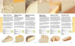 World Cheese Book (Ciltli) The Finest Selection - Juliet Harbutt - 3